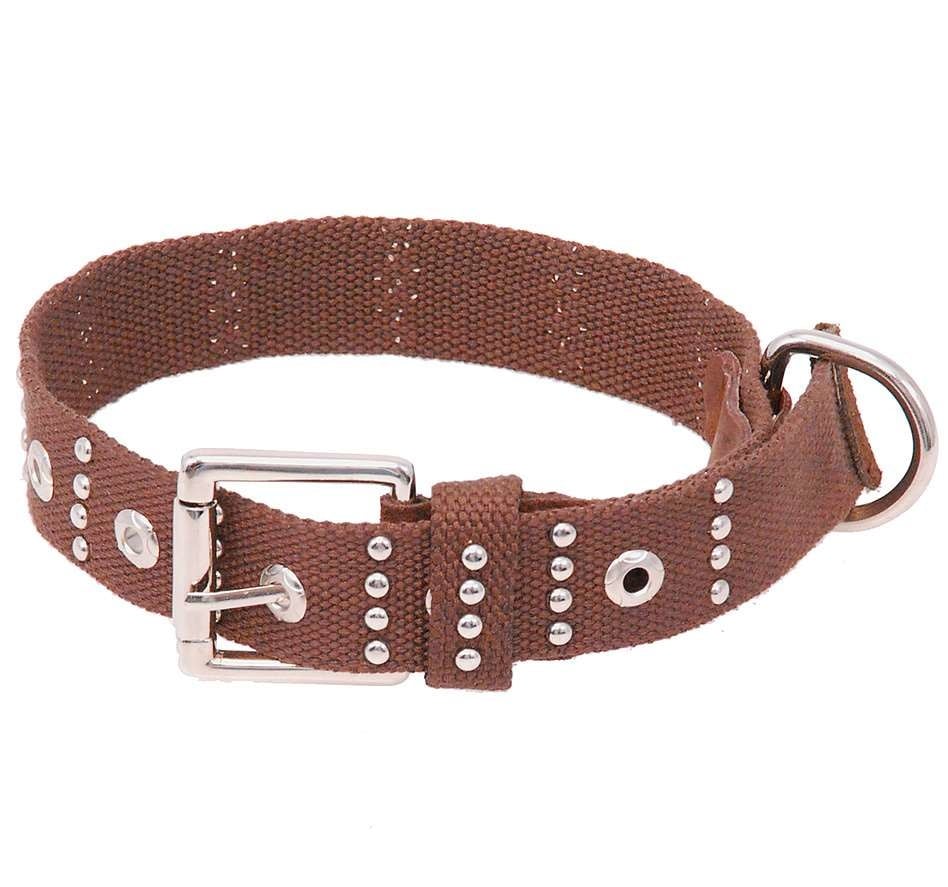 Brown Studded Choker Collar #DCC4NSTUD